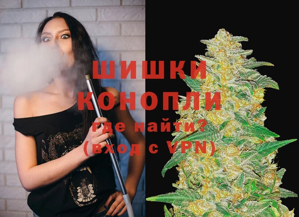 сатива Заволжье