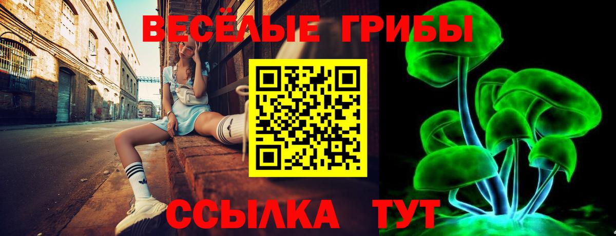 Галлюциногенные грибы Psilocybine cubensis Зеленодольск